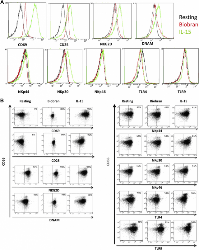 Средняя интенсивность флуоресценции при активации рецепторов NK-клеток