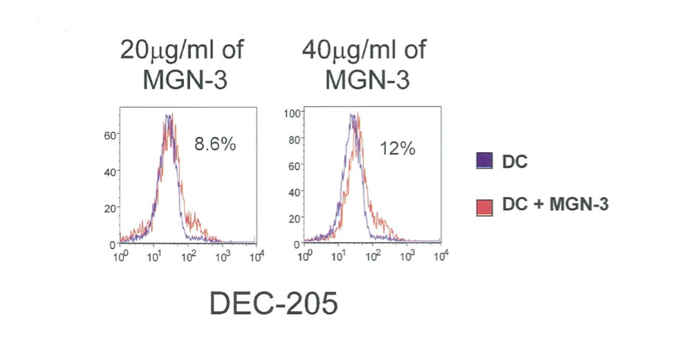 Биобран активирует ДК для индуцирования DEC-205. Гистограмма отображает процент позитивной экспрессии DEC-205 дозозависимым образом под действием MGN-3  (20 и 40 мкг/л).