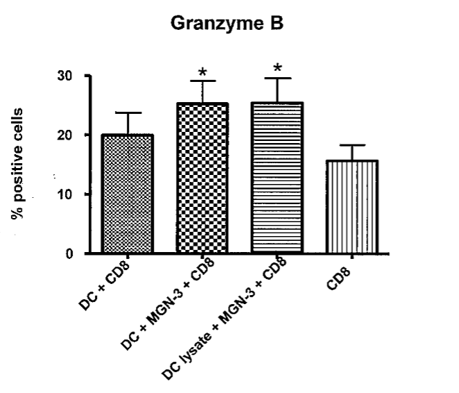 MGN-3 в концентрации 20 мкг/л индуцирует экспрессию гранзимов цитотоксическими ДК-активированными MGN-3 и лизатом раковой опухоли+ MGN-3 сокультивированными с CD8+ T-клетками  в течении 7 дней. А) Индукция гранзима была определена с помощью проточной цитометрии B) Гисторгаммы отображают процент CD8+ T-клеток, экспрессирующих гранзим B. Средние значения данных ± S.E., полученные от 5 экспериментов (p ˂0,05), представлены в сравнении с нестимулированными ДК CD8+ T-клетками.