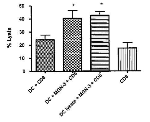MGN-3 -стимуляция примирует более высокие цитолитические CD8+ T-клетки. ДК, активированные MGN-3  в концентрации 20 мкг/л и лизатом раковых клеток + MGN-3  были сокультивированы в течение 7 дней. Очищенные CD8+ T-клетки (эффекторы) были со-культивированы с CFSE-окрашенными PC3-клетками в отношении 1:50. Клетки, позитивные для обоих проб, считались лизированными. Исследование методом проточной цитометрии показывает процент специфического лизиса PC3. Данные от одного представительного эксперимента отображены в сравнении с нестимулированными CD8+ T-клетками.
