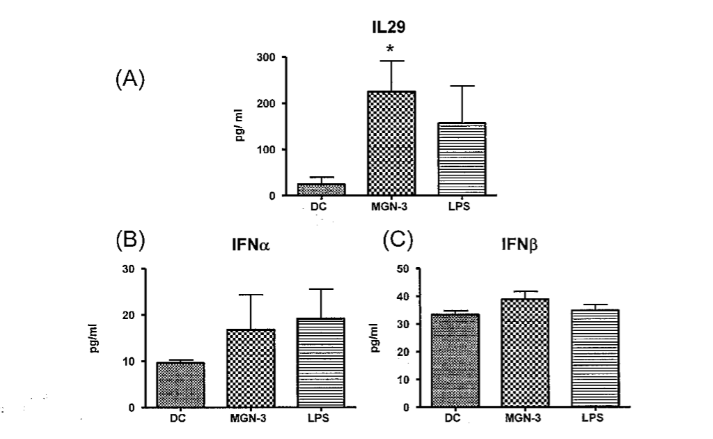 MGN-3   в концентрации 20 мкг/л активирует ДК для индуцирования секреции цитокинов ИФН I и III. ДК были активированы с помощью MGN-3   и LPS в течение 48 часов. Гистограммы отображают: А –  уровень ИЛ 29  (тип III, ИФНs), B – ИФН, и C – ИФН. Данные представлены в средних значениях ± S.E., полученных от 6 экспериментов (p ˂0,05), в сравнении с необработанными ДК.